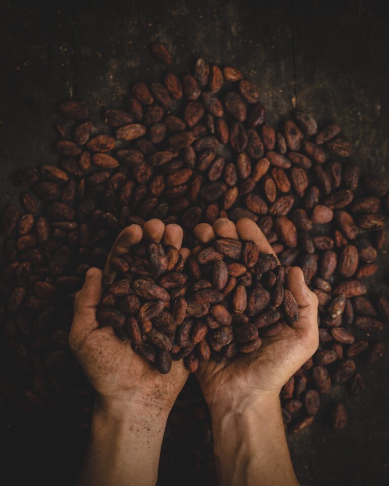 Cacao & Pregnancy